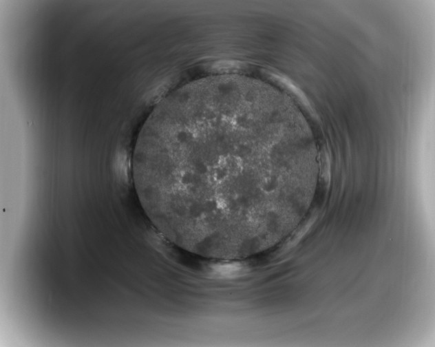 X0000099990669200805231454