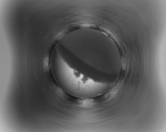 X0000099990670200805231454