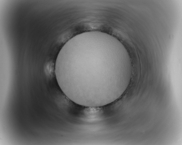 X0000099990672200805231454