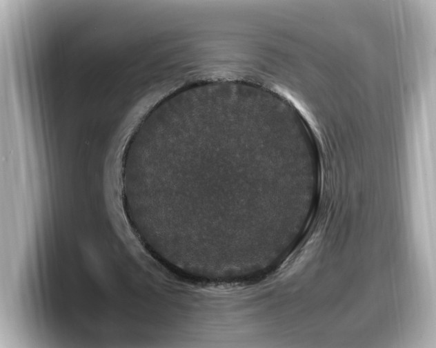 X0000099990673200805231453