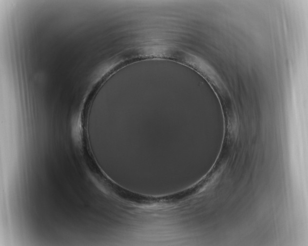 X0000099990674200805231453