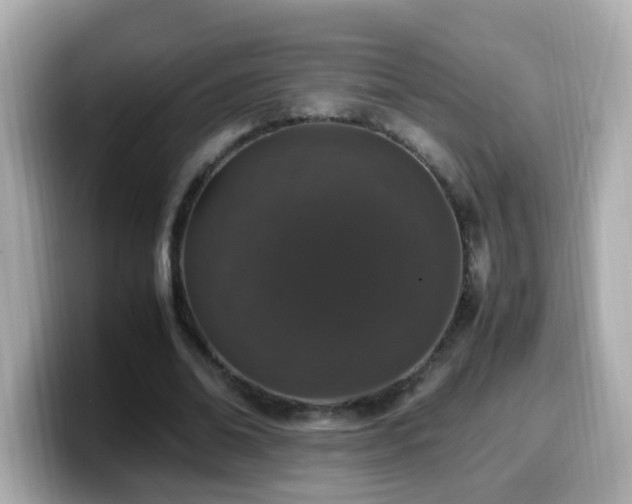 X0000099990678200805231453