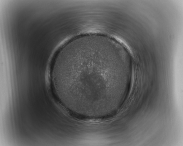 X0000099990680200805231453