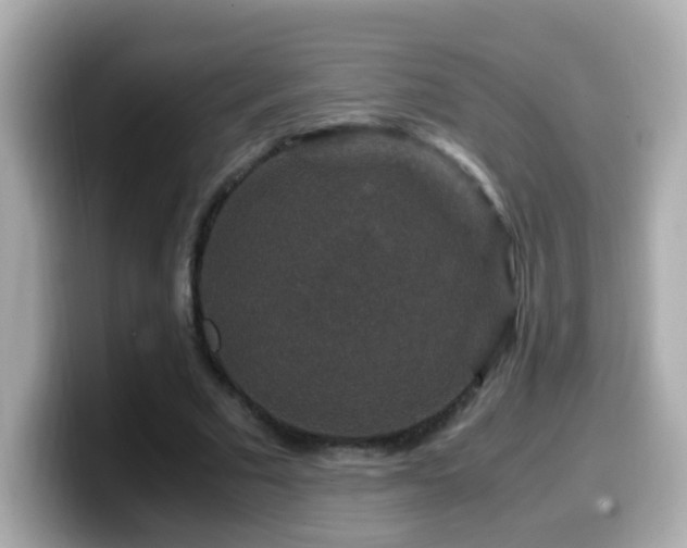X0000099990681200805231453