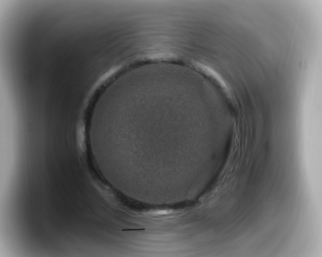 X0000099990684200805231453