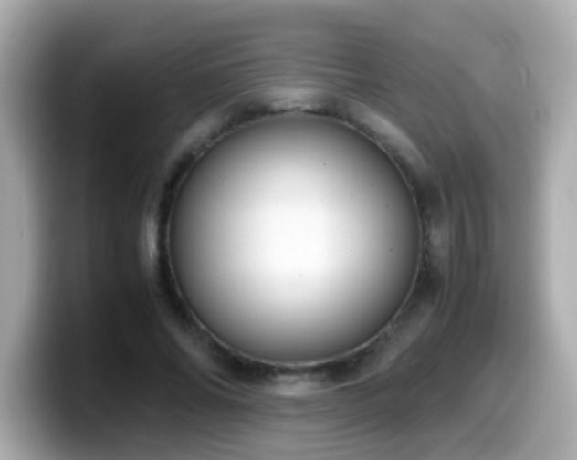 X0000099990686200805231453