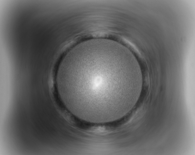 X0000099990687200805231453