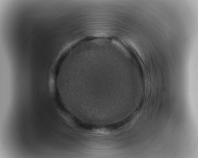 X0000099990688200805231453