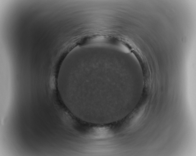 X0000099990689200805231453