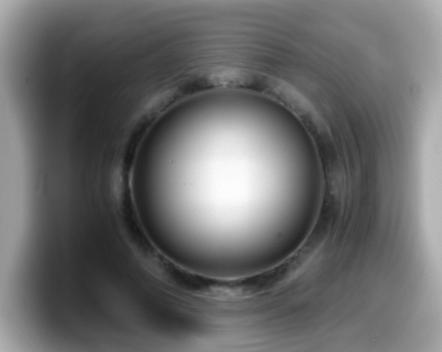 X0000099990690200805231453