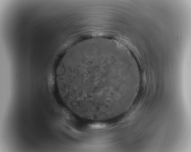 X0000099990691200805231453
