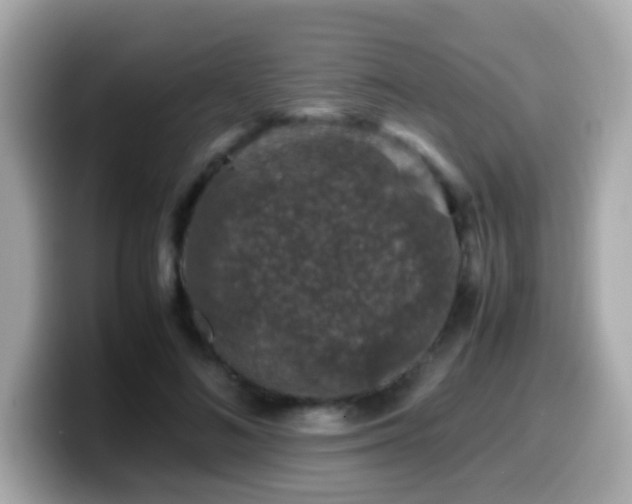 X0000099990692200805231453