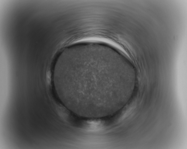 X0000099990693200805231453