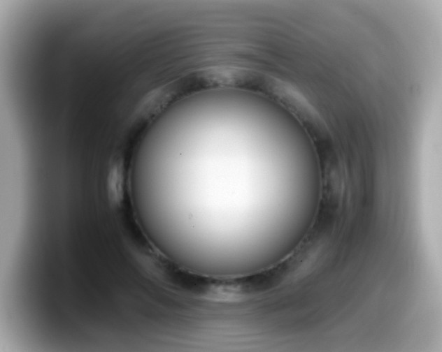 X0000099990694200805231453