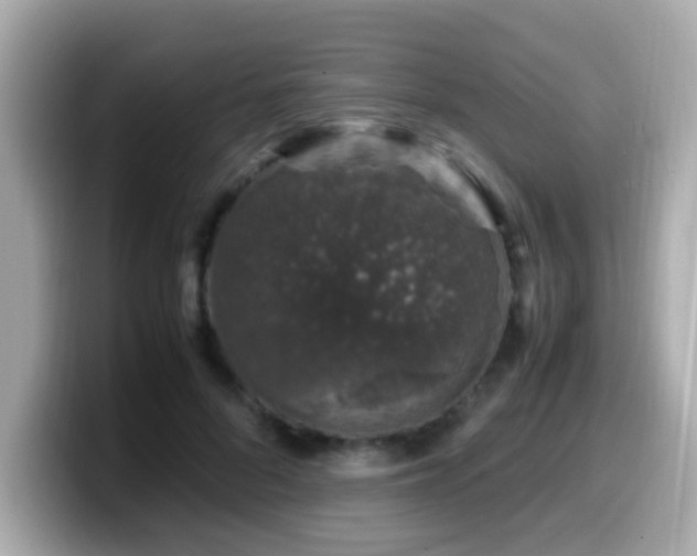 X0000099990696200805231453