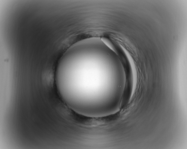 X0000099990697200805231453