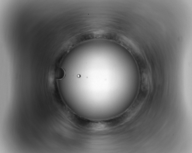 X0000099990698200805231453