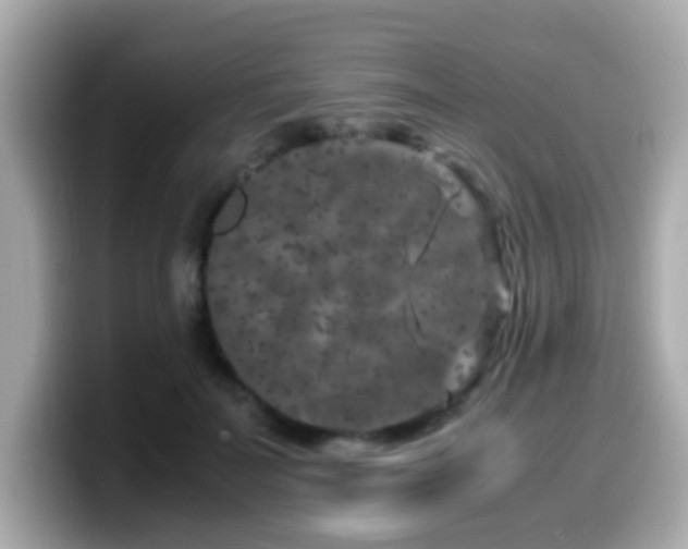 X0000099990699200805231453