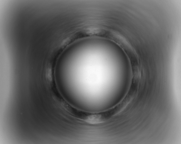 X0000099990700200805231453