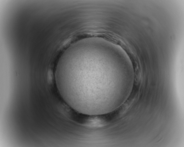 X0000099990704200805231453