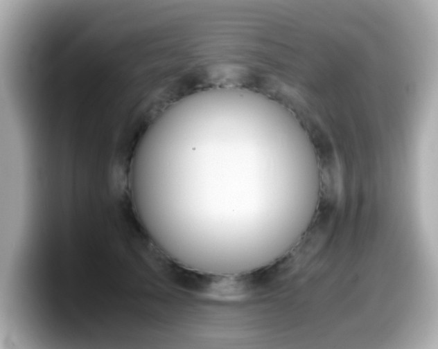 X0000099990705200805231453