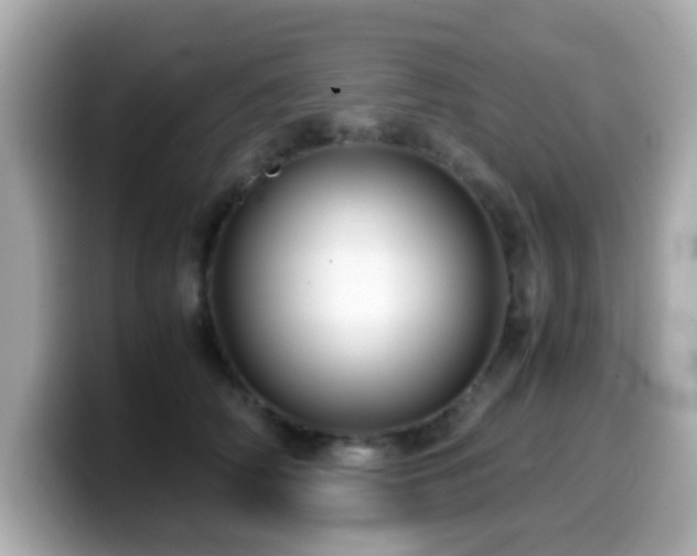 X0000099990706200805231453