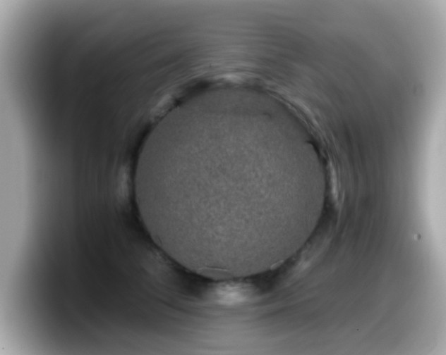 X0000099990708200805231453