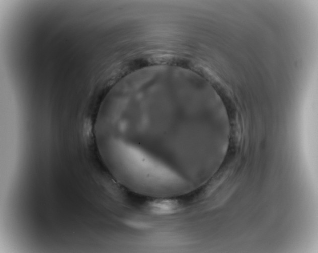 X0000099990711200805231452