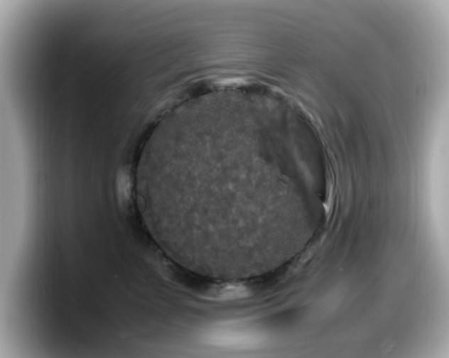 X0000099990715200805231452