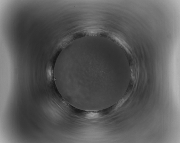 X0000099990718200805231452