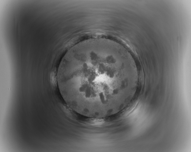 X0000099990719200805231452