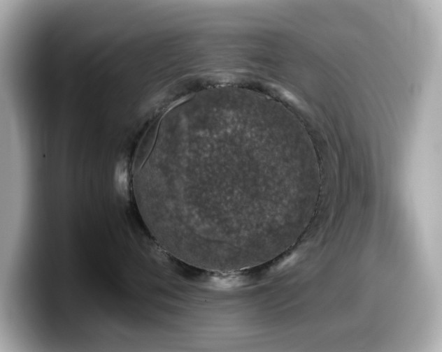 X0000099990720200805231452