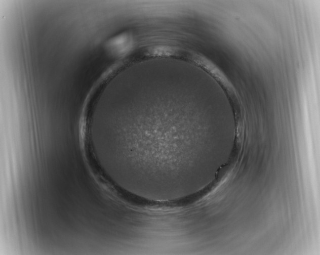 X0000099990722200805231452