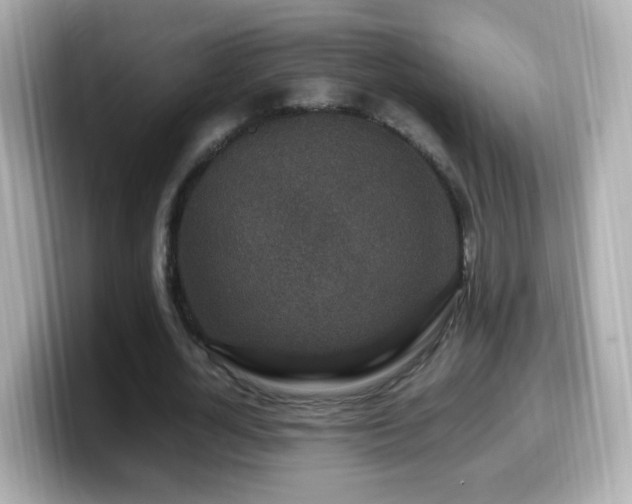 X0000099990724200805231452