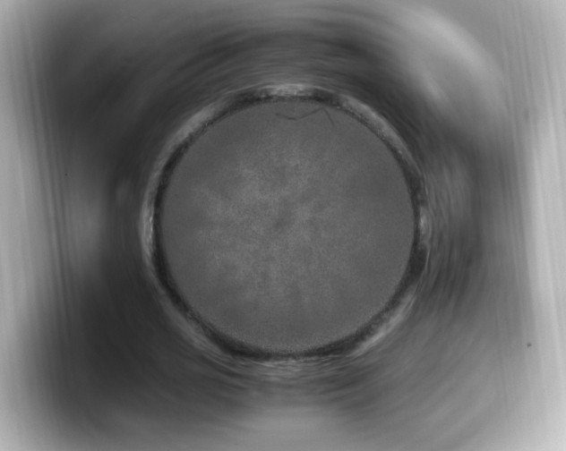 X0000099990725200805231452
