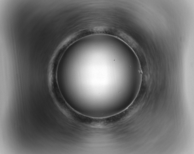 X0000099990728200805231452