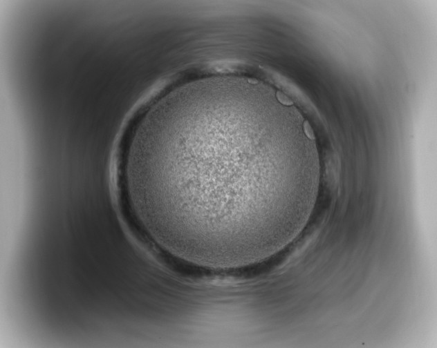 X0000099990730200805231452