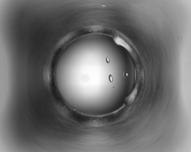 X0000099990732200805231452