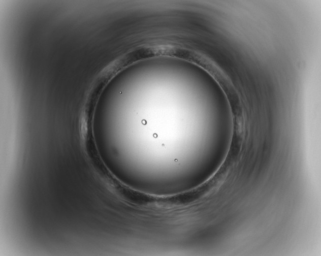X0000099990733200805231452
