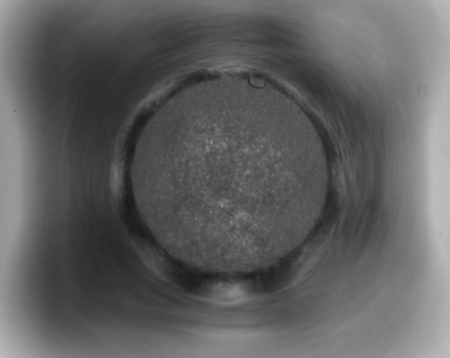 X0000099990735200805231452