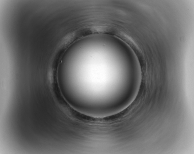 X0000099990738200805231452