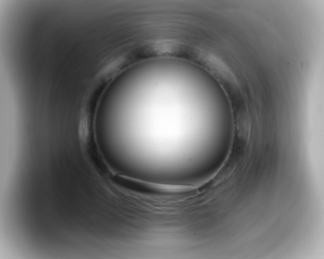 X0000099990740200805231452