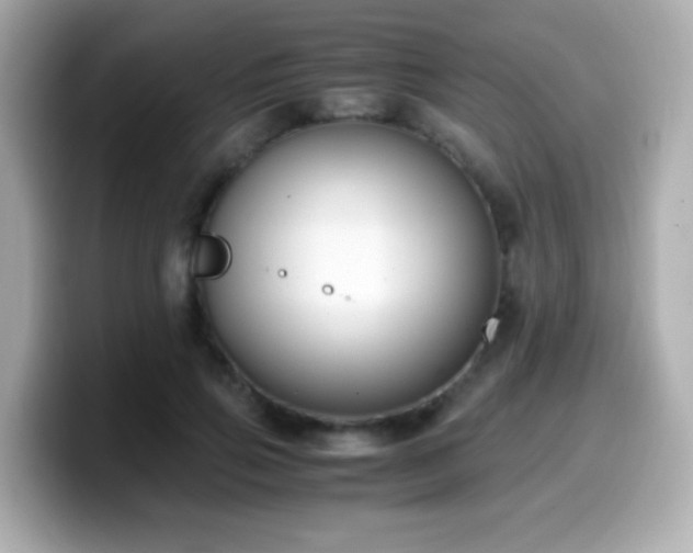 X0000099990741200805231452