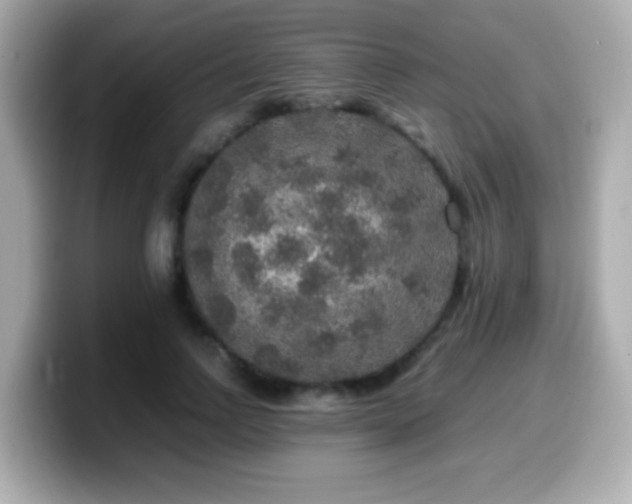 X0000099990742200805231452