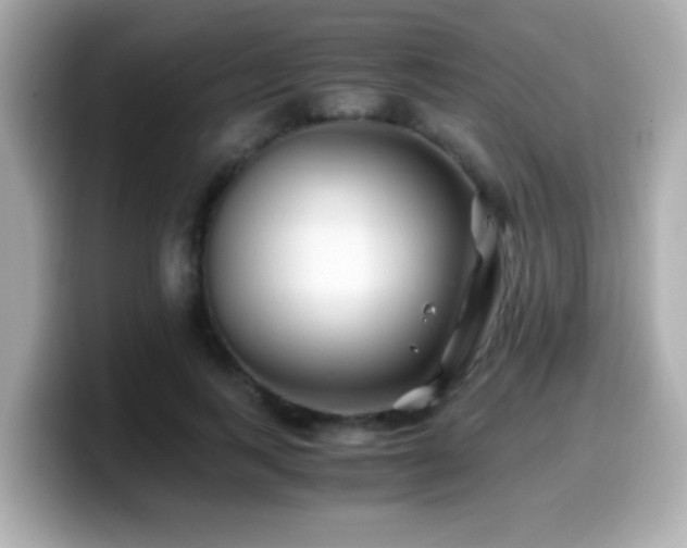X0000099990743200805231452