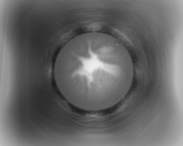 X0000099990745200805231452