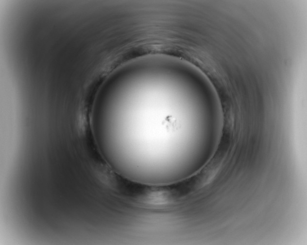 X0000099990746200805231452