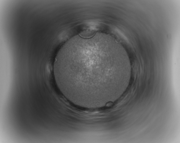 X0000099990747200805231452
