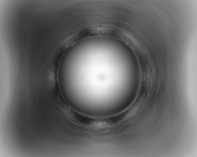 X0000099990749200805231452