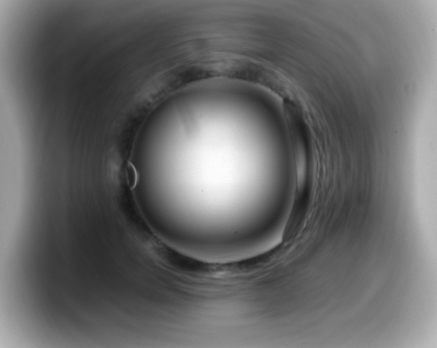 X0000099990750200805231452